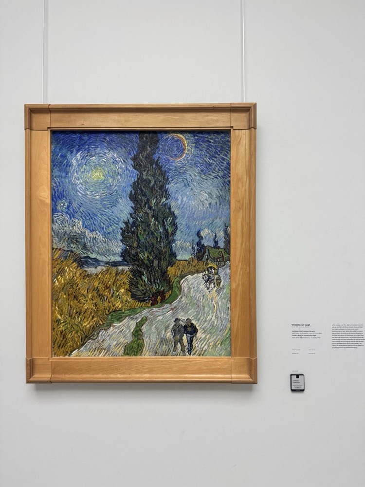 A photo of a painting on a museum wall, with its frame and the wall label beside it